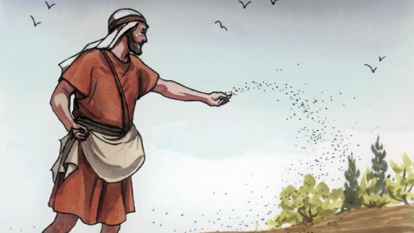 steve pilkington - parable of the sower
