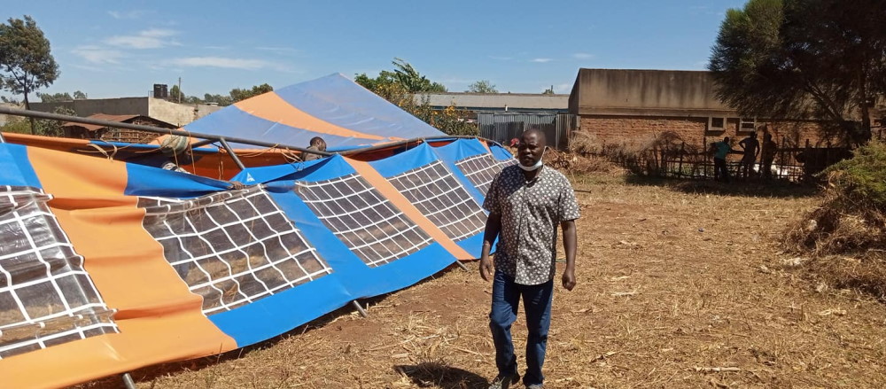 click to see larger image