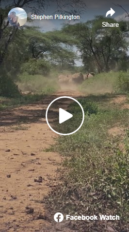 click for video