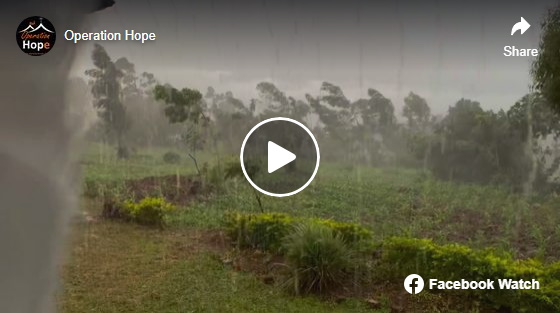 click for video the rain in busia